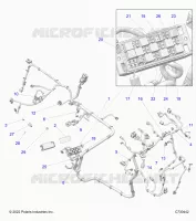 ELECTRICA, WIRE HARNESS