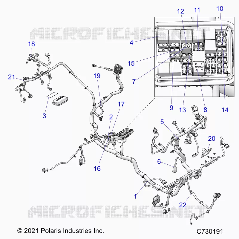 ELECTRICA, WIRE HARNESS