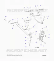 WISHBONES FRONT