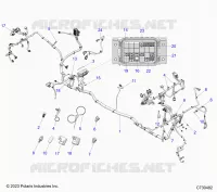 ELECTRICA, WIRE HARNESS