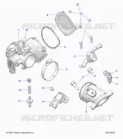 ENGINE, CUERPO DE MARIPOSA AND FUEL RAIL