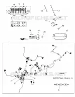 ELECTRICA, HARNESS