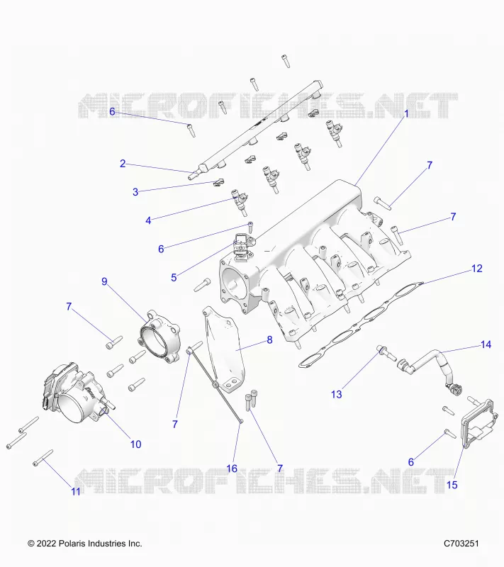 CONSUMO MANIFOLD, FUEL RAIL AND RELATED