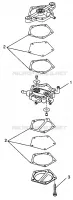 BOMBA DE COMBUSTIBLE 600 XCR 0975677, 600 XCR SE H975677 and EUROPEAN 600 XCR SE E9756 (4937963796D001)