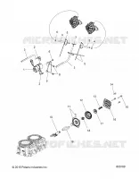 ESCAPE VALVES AND SOLENOID