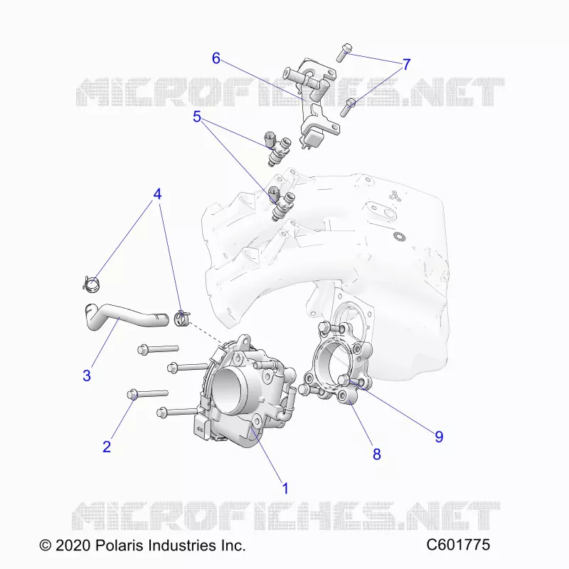 SISTEMA DE COMBUSTIBLE, THROTTLE BODY/FUEL RAIL