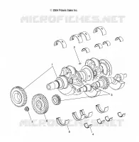 CIGUEÑAL AND BALANCE SHAFT