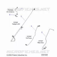 ELECTRICA, JUMPER WIRES