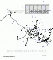 ELECTRICA, HARNESS