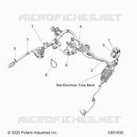 ELECTRICA, WIRE HARNESS, MAIN
