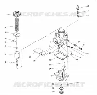CARBURADOR ASSEMBLY (4916341634035A)