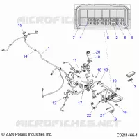 ELECTRICA, HARNESS