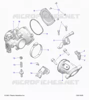 ENGINE, CUERPO DE MARIPOSA AND FUEL RAIL