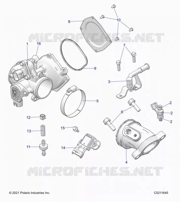 ENGINE, CUERPO DE MARIPOSA AND FUEL RAIL
