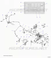 ELECTRICA, MAIN WIRE HARNESS