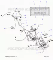 ELECTRICA, HARNESS