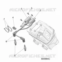 ELECTRICA, IGNITION COIL/SPARK PLUGS