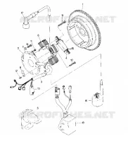 MAGNETO ASSEMBLY (4916351635048A)