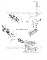CUERPO DE MARIPOSA and INJECTOR