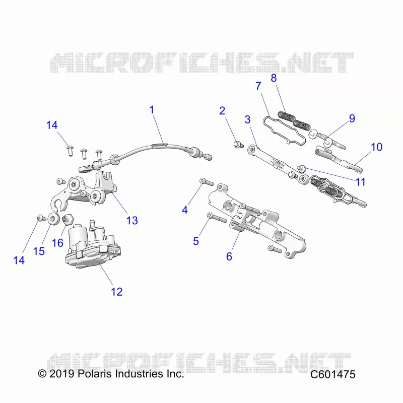 ENGINE, VALVOLA ESCAPE ASM. AND ACTUATOR