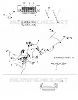 ELECTRICA, HARNESS