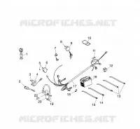 PARTES ELÉCTRICAS