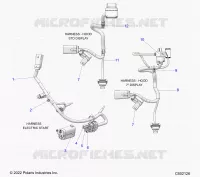 ELECTRICA, WIRE HARNESS, HOOD, ELECTRIC START