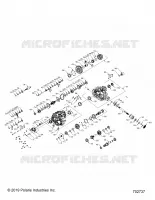 TREN, MAIN GEARCASE INTERNALS
