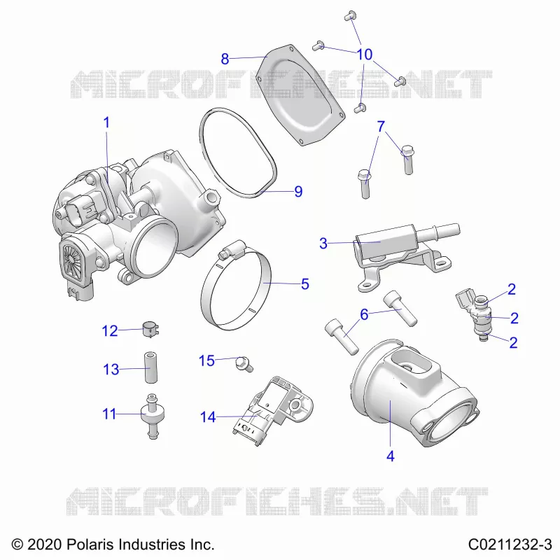 ENGINE, CUERPO DE MARIPOSA AND FUEL RAIL