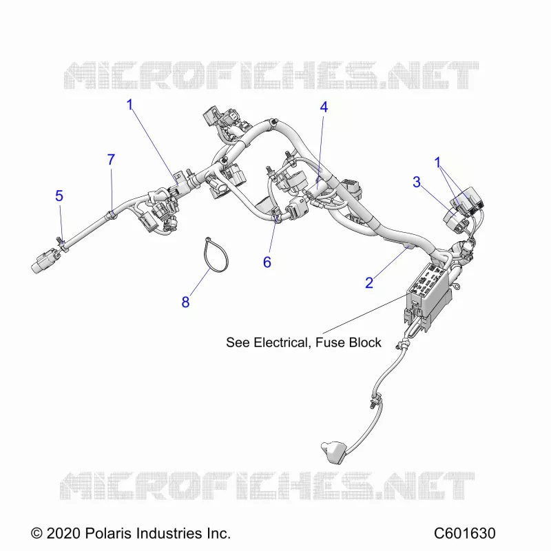 ELECTRICA, WIRE HARNESS, MAIN