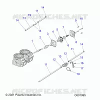 ENGINE, VALVOLA ESCAPES AND SOLENOID