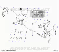 ELECTRICA, WIRE HARNESS