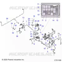ELECTRICA, WIRE HARNESS
