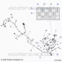 ELECTRICA, WIRE HARNESS