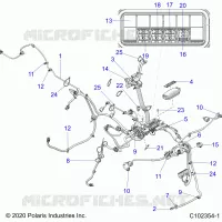 ELECTRICA, HARNESS