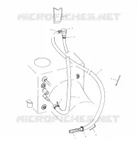 AGUA SIPHON