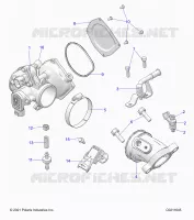 ENGINE, CUERPO DE MARIPOSA AND FUEL RAIL