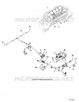 ELECTRICA, HARNESS