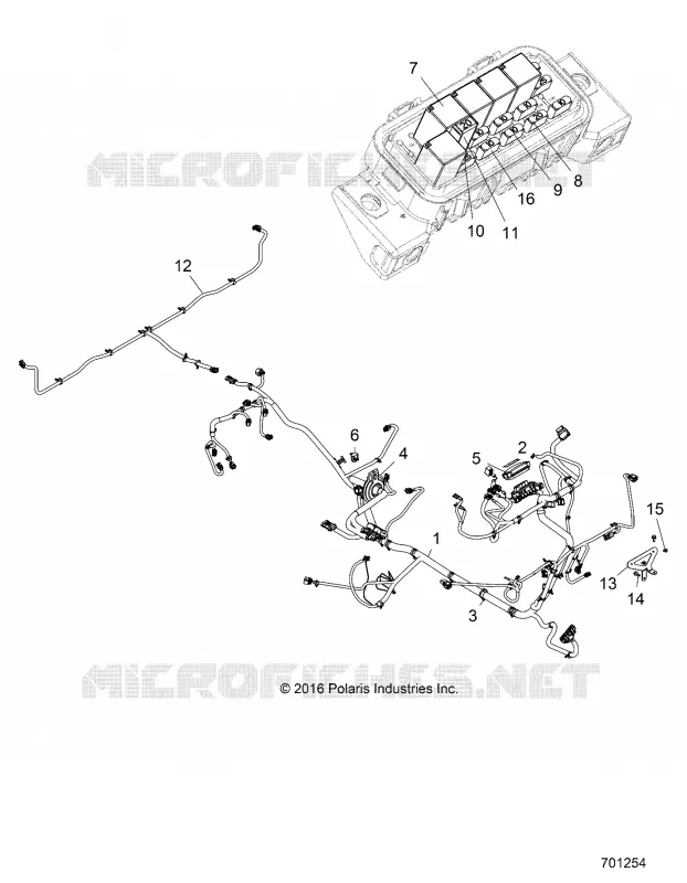 ELECTRICA, HARNESS