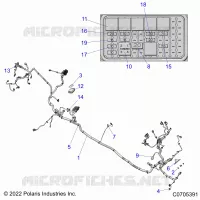 ELECTRICA, WIRE HARNESS