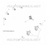 ELECTRICA, BULBS
