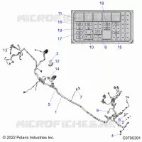 ELECTRICA, WIRE HARNESS