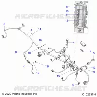 ELECTRICA, HARNESS