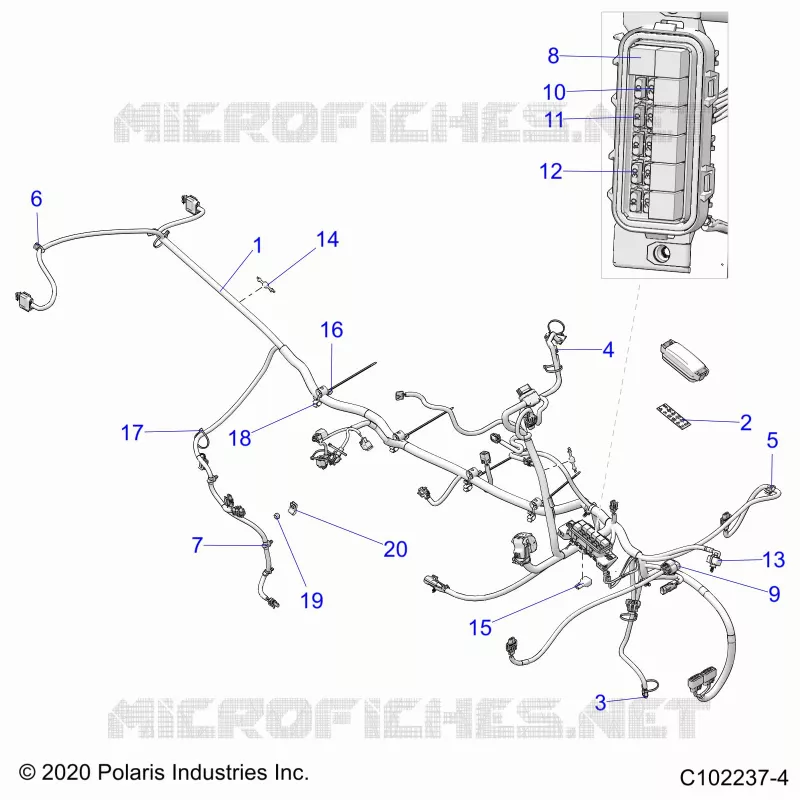 ELECTRICA, HARNESS
