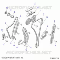 ENGINE, TIMING AND OIL CADENA DRIVES