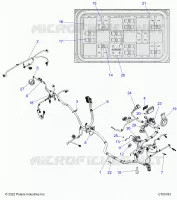 ELECTRICA, WIRE HARNESS