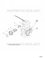 ENGINE, CUERPO DE MARIPOSA AND FUEL RAIL