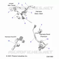 ELECTRICA, WIRE HARNESS, HOOD, ELEC. START
