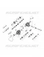 DRIVE TRAIN, PRINCIPAL GEARCASE INTERNALS