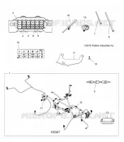 ELECTRICA, HARNESS